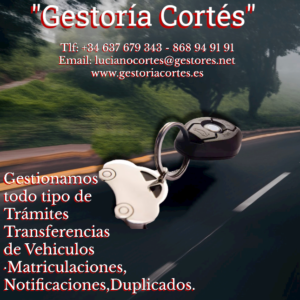 Lee más sobre el artículo Gestoría Cortes Tu Socio en Alcantarilla,Murcia para una Gestión sin Estrés