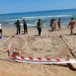 Primeros intentos de anidación de tortuga boba en la Región de Murcia durante el fin de semana