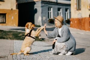 Lee más sobre el artículo Telepatía canina mito o realidad en la comunicación entre perros y humanos